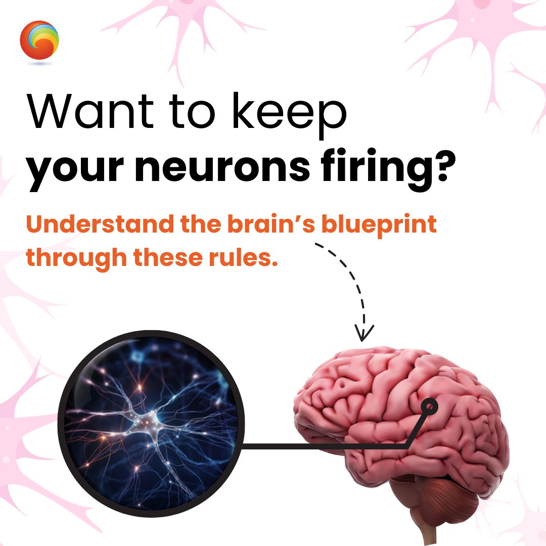 SwabhavTechlabs's tweet photo. Increase your brain’s true potential by keeping your neurons firing!! These rules will help 📈boost your brain power. Understand how you can rewire your life experiences.
#talentcreation #learn #neuron #eye #brain #power #hire #personaldevelopment #motivation #life #neuron #IT https://t.co/FxxPDzfSMy