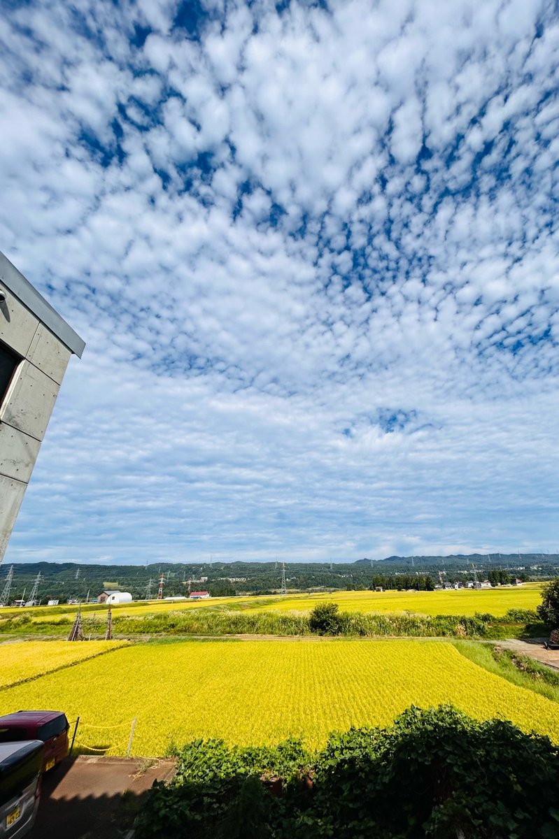 おはようございます！
今日の十日町市は晴れ☀

９月ですね！
だまだ暑い日が続いていますが
空は秋らしくなってきた気がします☁

今日も１日頑張りましょう！

#企業公式が毎朝地元の天気を言い合う #新潟県