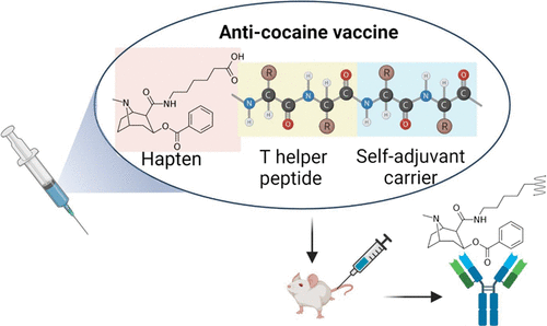 University of Queensland SCMB EMCR Group tweet media