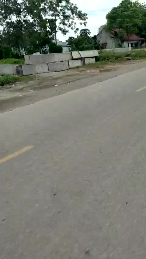 thuybibi tweet media