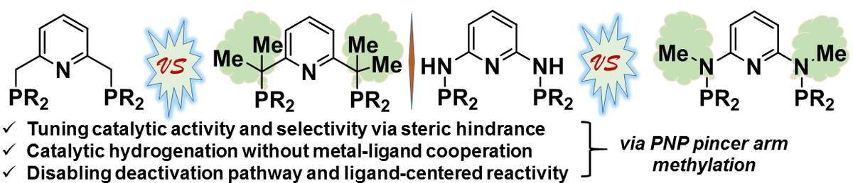 Congrats to @aspirantdilip and our pincer team: our invited Concept article on methylated pincers is just accepted @ChemCatChem - see how methyl groups affect pincer complex performance in catalysis and modulate selectivity and reaction pathways! …mistry-europe.onlinelibrary.wiley.com/doi/10.1002/cc…