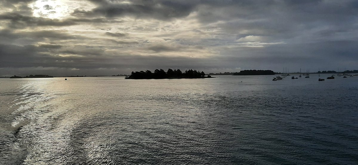 FDSEA du Morbihan tweet media