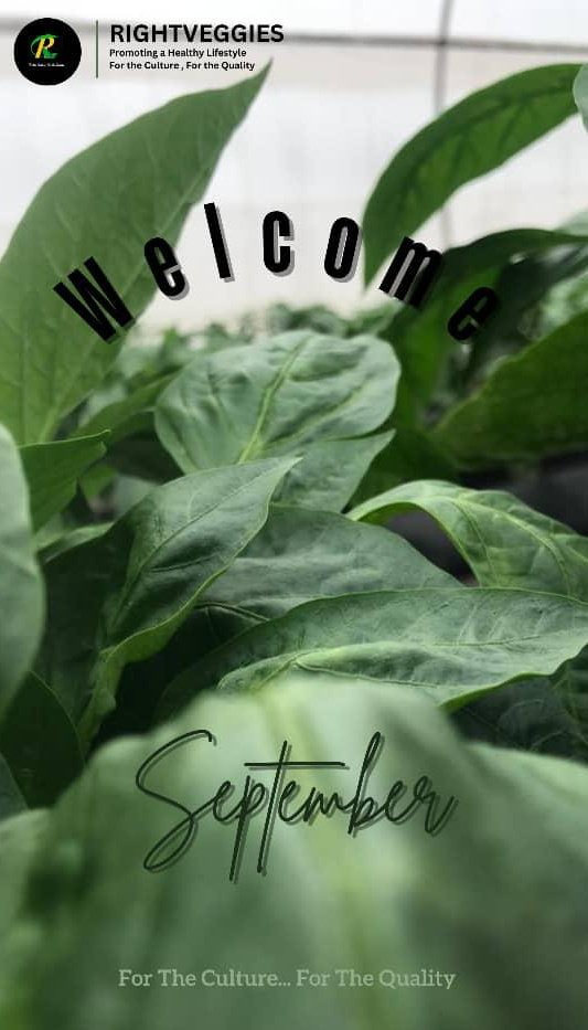 rightveggies's tweet photo. It’s the 9th Chapter already!!🤩

Happy New Month to all the amazing farmers out there!🤗

We are excited to have you on this journey of improving lives through healthy food production.

Have a great September!💥✨

#NewMonth
#Agriculture
#Sustainability
#RightVeggies https://t.co/zMAv8dRNb5