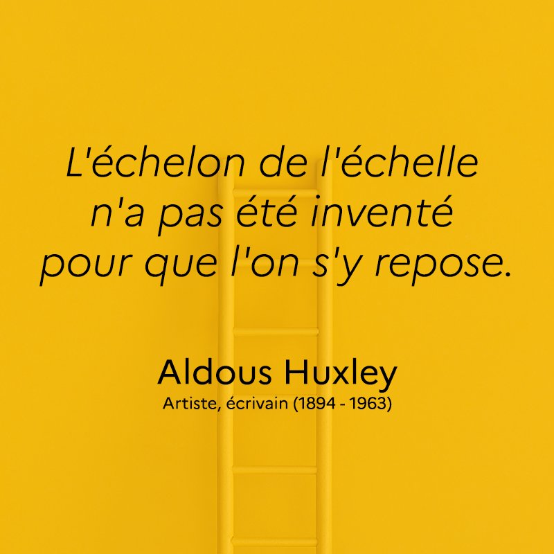 Thierry Pires 🇫🇷 tweet media