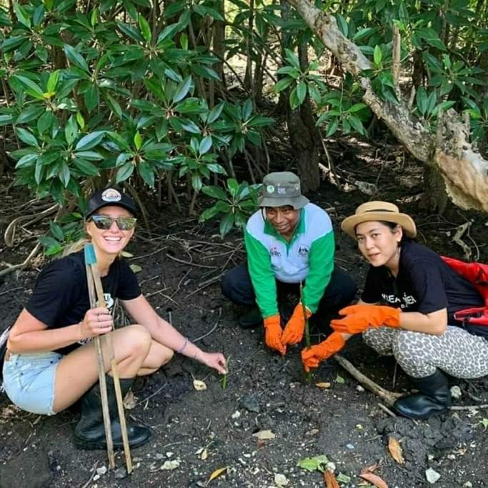 Menanam #BibitMangrove di Kawasan #HutanMangrove #TahuraNgurahRai Bali sambil membersihkan #SampahPlastik bersama teman - teman komunitas lingkungan. 
#SaveMangrove 🌳
#SaveEarth 🌏
#Mangroveindonesiauntukdunia 
#ForumPeduliMangroveBali