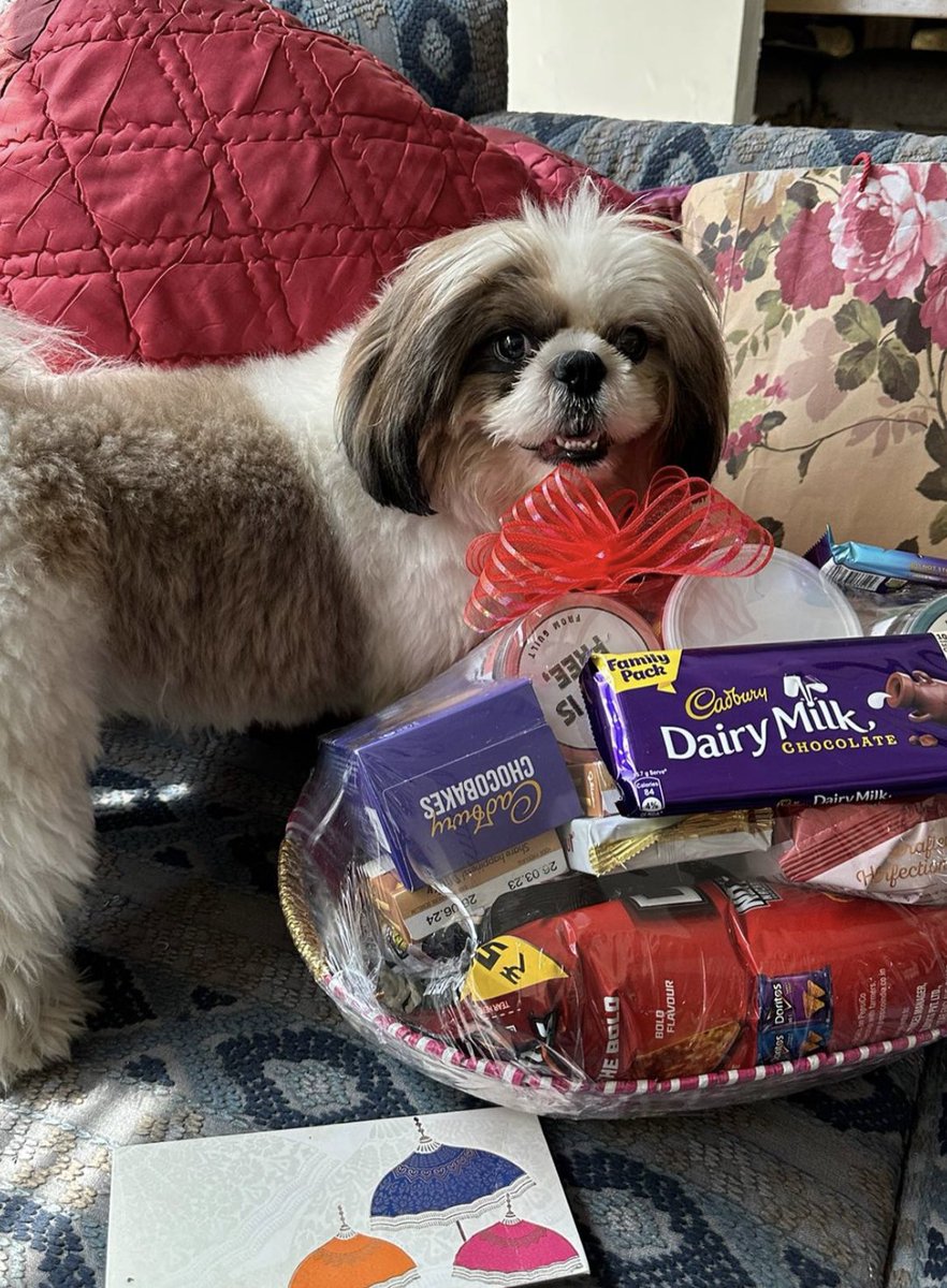 Evan Luthra tweet media