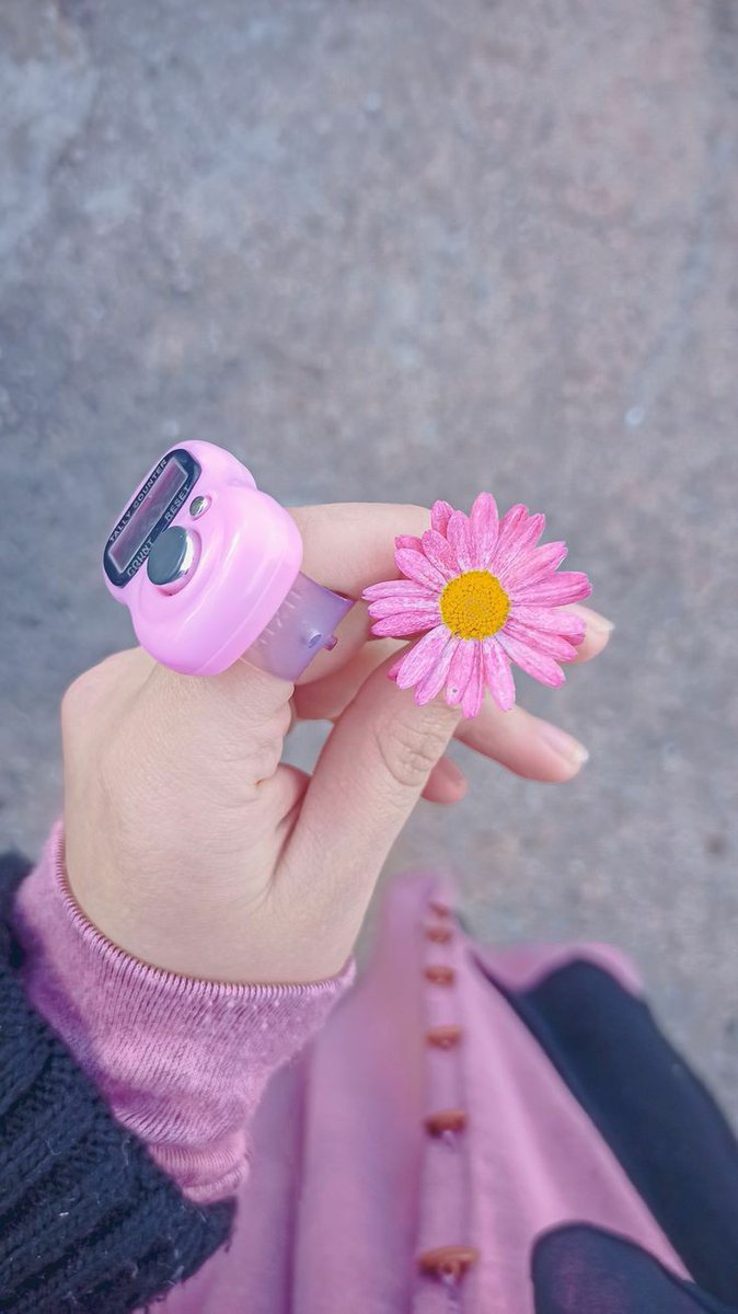 جوهرة يوسف tweet media