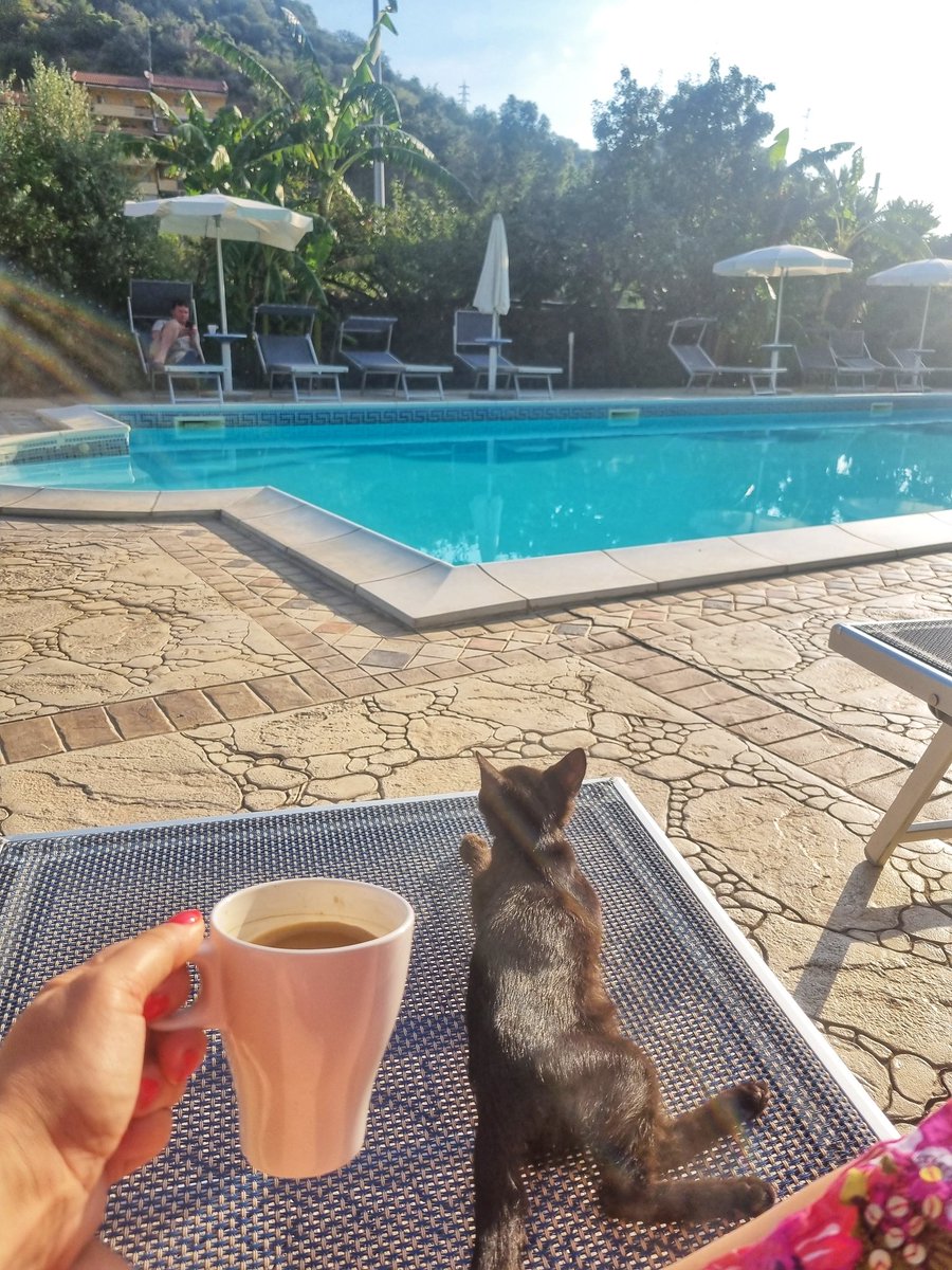 Portia Jones tweet media