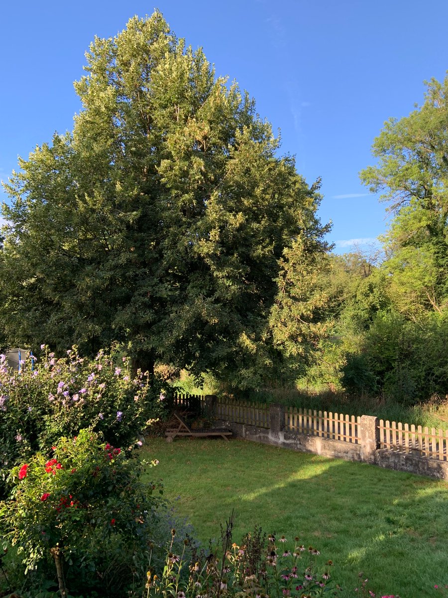 Guten Morgen aus dem Berner Mittelland 😊 so darf der September beginnen. Habt einen schönen Freitag und dann ein heiteres Wochenende.