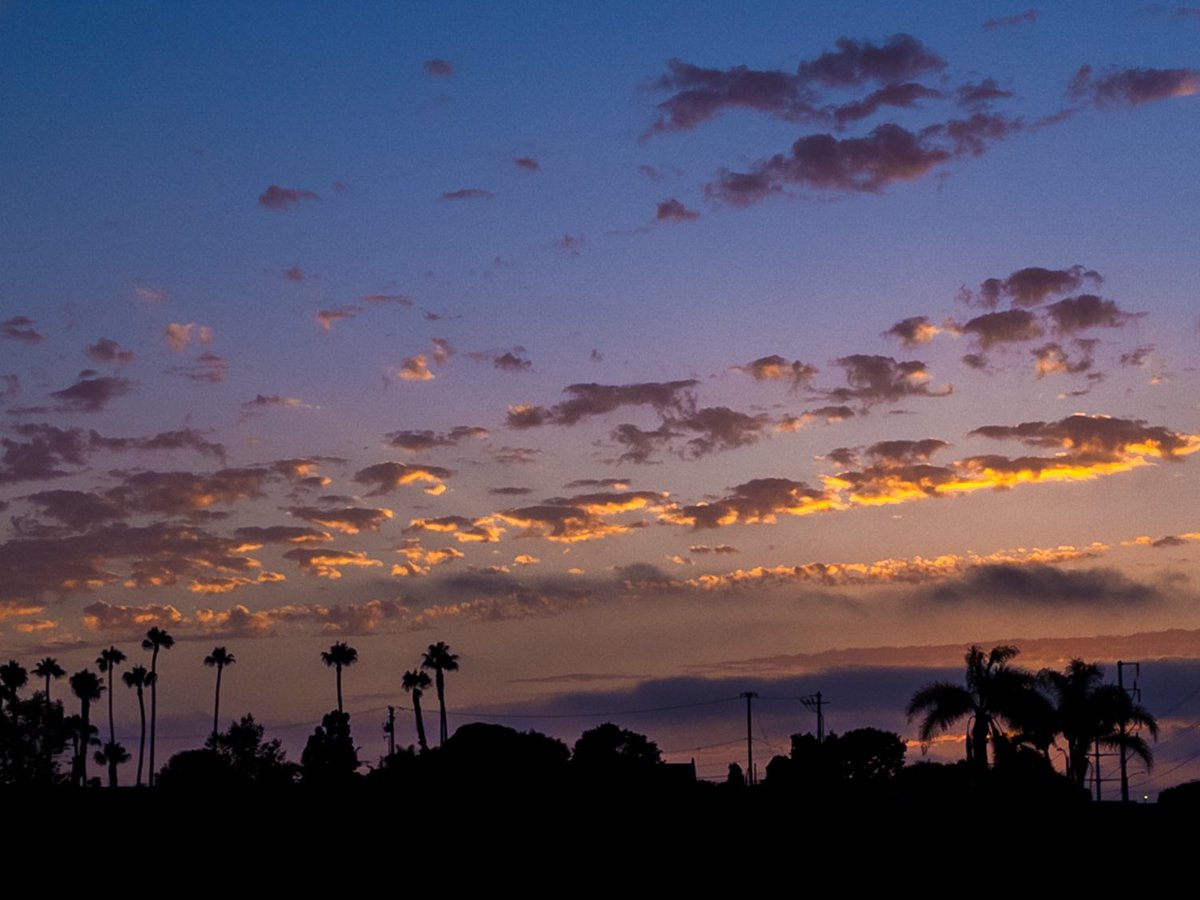 jfcore's tweet image. #sunset #clearskies #lightclouds #colorful #rooftop #views #beachlife #palmtrees