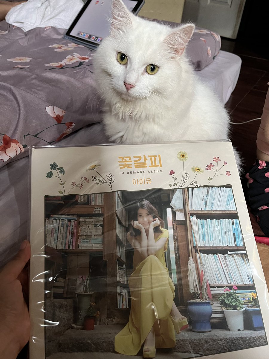 somethngforcat's tweet photo. SHE'S HERE!!!! Thank you @BIUcart ๐๐๐๐ #colgatemail๐ https://t.co/xiSfTz4vRn