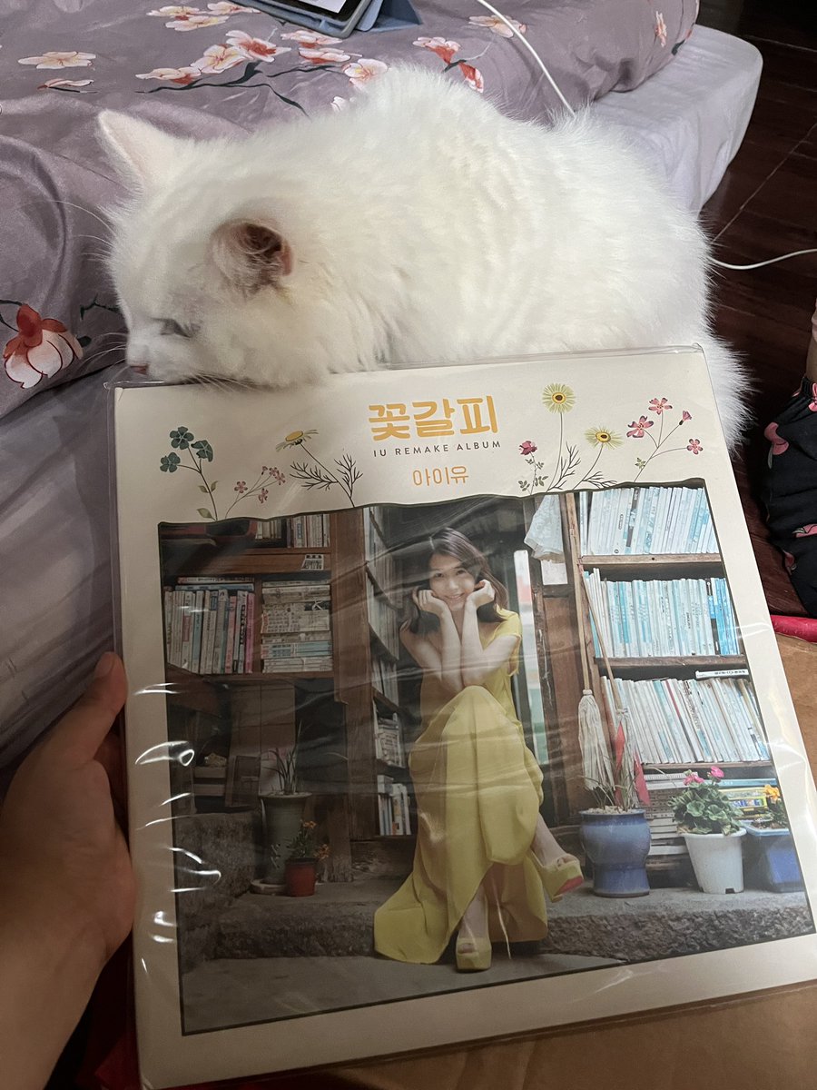 somethngforcat's tweet photo. SHE'S HERE!!!! Thank you @BIUcart ๐๐๐๐ #colgatemail๐ https://t.co/xiSfTz4vRn