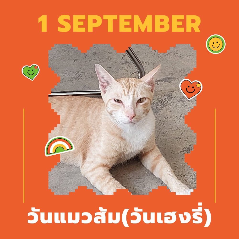moawfancafe's tweet photo. วันแมวส้ม วันนี้เพื่อเป็นเกียรติแก่แมวส้มเราจะเปลี่ยนชื่อชาส้มเป็นชาแมวส้มหนึ่งวันค่ะ🤣 https://t.co/FLfzs9HGzE