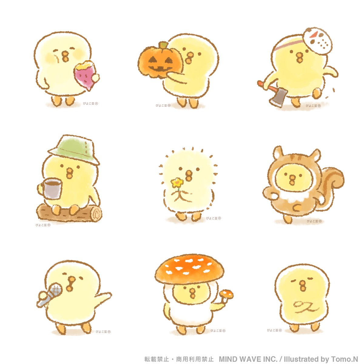 ぴよこ様確認用♡ ひよこ様確認用 ひよこさん確認用 ひよこ様確認用