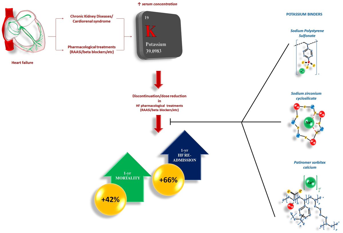 Thanks Dr. Pietro Scicchitano <a href="/PietroScicchi83/">Pietro Scicchitano</a>   and Dr. Francesco Massari hosted the following special issue foucus on #Cardiovascular  #pharmacology 

⚡️read the following 13 papers: 
mdpi.com/journal/biomed…

Below is a nice graphic abstract👇