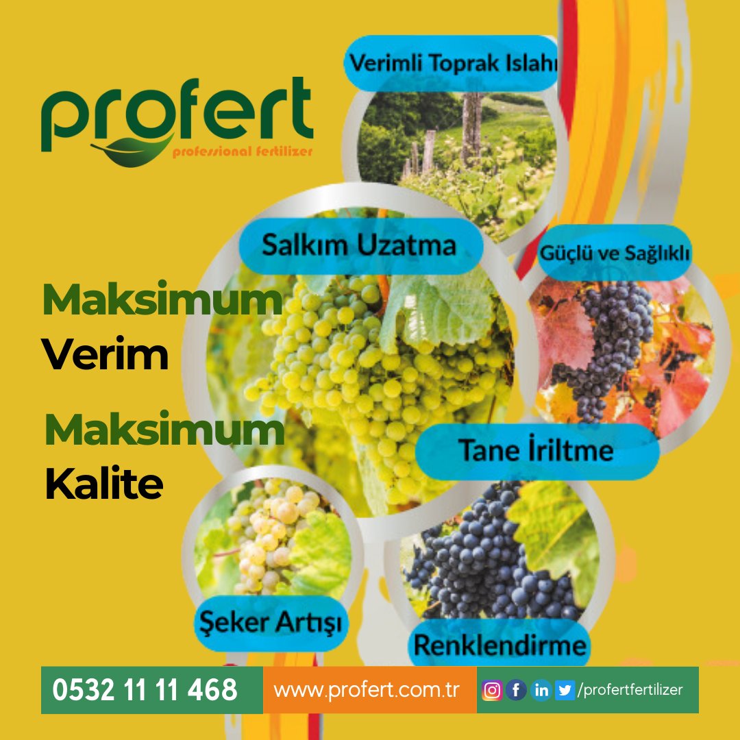 Profertgubre's tweet photo. Profert ürünleri ve tecrübemiz ile maksimum verim, maksimum kalite;

🍇Güçlü ve sağlıklı bitki,

🍇Salkım uzatma,

🍇Toprak ıslahı

🍇Tane iritme

🍇Şeker artışı,

🍇Renklendirme,

🍇Sürgün uzatma

#profert #cuma #galatasaray  hayırlı cumalar https://t.co/6T8Yv0bvPu