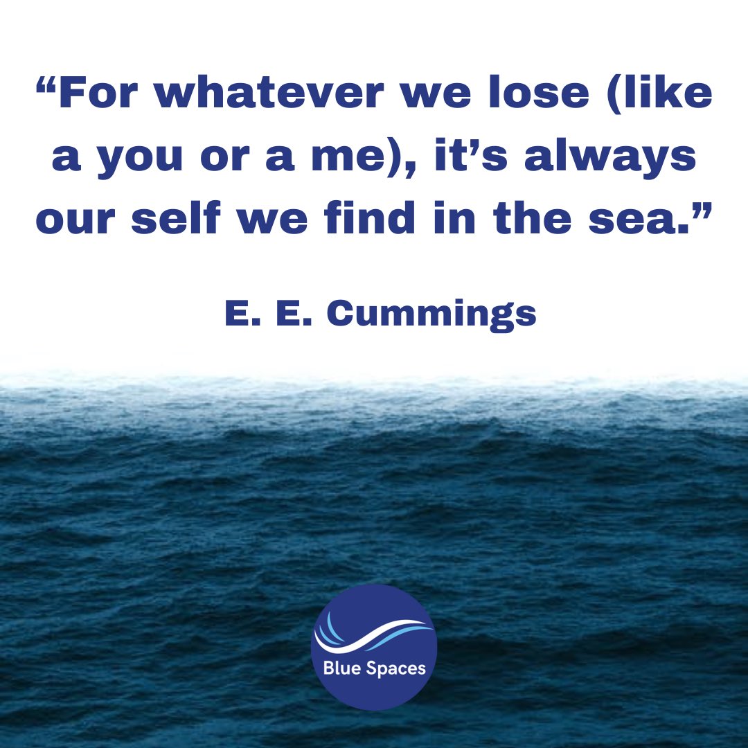 Blue Spaces tweet media