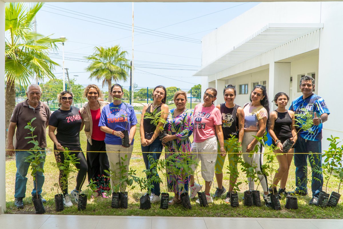 AmigosdeMonicaV's tweet photo. ¡Sigamos juntos #MoviendoVoluntades! Los invito a sumarse y aportar su granito de arena para la campaña "Sembrando Árboles"
#Tampico #SeTransforma
#MoviendoVoluntades https://t.co/rsrL7rofJO