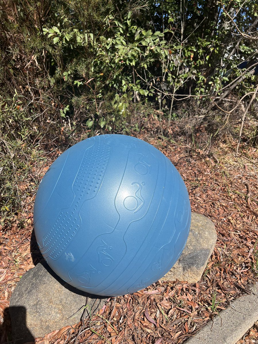 Amy Remeikis tweet media