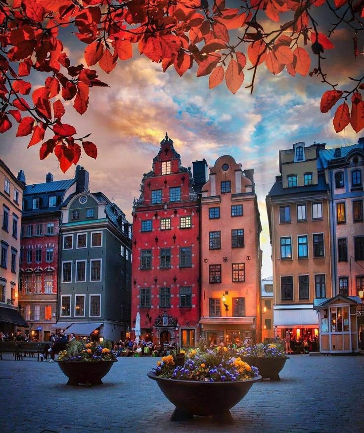 Good Morning 
Have a Nice Day 

(Sweden,📷Pinterest)