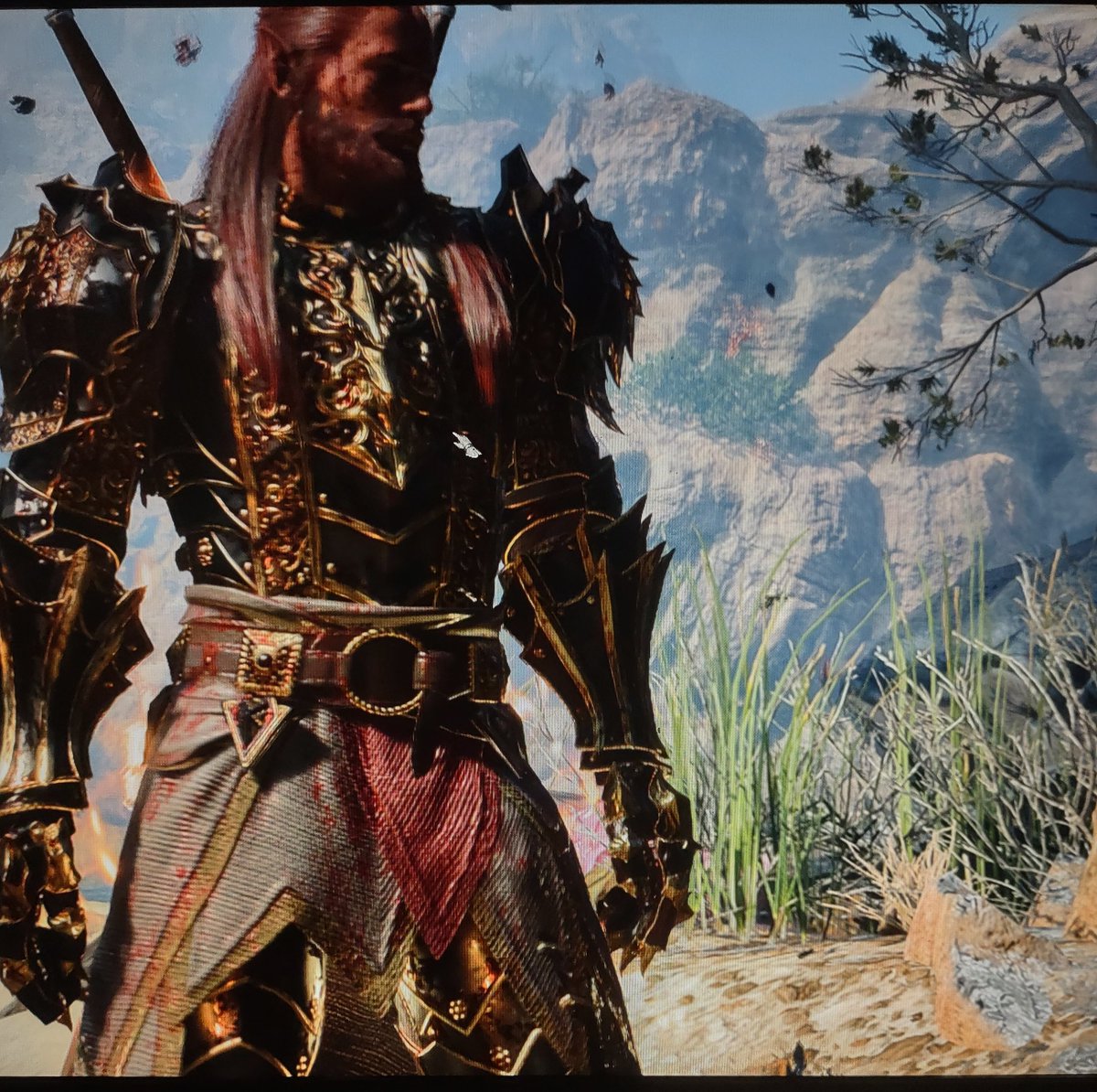 f_shadowalker's tweet photo. Iv been playing baldur's gate 3.   This is my high elf battlemaster fighter/ Paladin of vengeance. https://t.co/y5rsqT8KHz