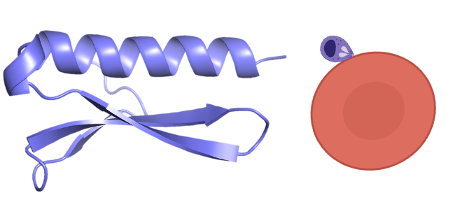 Manuel Llinas (@llinaslab) on Twitter photo The Llinás lab (@Llinaslab) is hiring in the space of Plasmodium transcriptional regulation and metabolism (<a href="/MalariaPsu/">PSU Malaria Research</a>, <a href="/PSUScience/">Penn State Eberly College of Science</a>, <a href="/BMB_PSU/">Penn State BMB</a>, <a href="/cegrPSU/">Center for Eukaryotic Gene Regulation at PSU</a> ,<a href="/ciddpsu/">CIDD</a>)!
If interested, please email, DM, or apply here: tinyurl.com/Llinas-PD The Llinás lab (@Llinaslab) is hiring in the space of Plasmodium transcriptional regulation and metabolism (<a href="/MalariaPsu/">PSU Malaria Research</a>, <a href="/PSUScience/">Penn State Eberly College of Science</a>, <a href="/BMB_PSU/">Penn State BMB</a>, <a href="/cegrPSU/">Center for Eukaryotic Gene Regulation at PSU</a> ,<a href="/ciddpsu/">CIDD</a>)!
If interested, please email, DM, or apply here: tinyurl.com/Llinas-PD