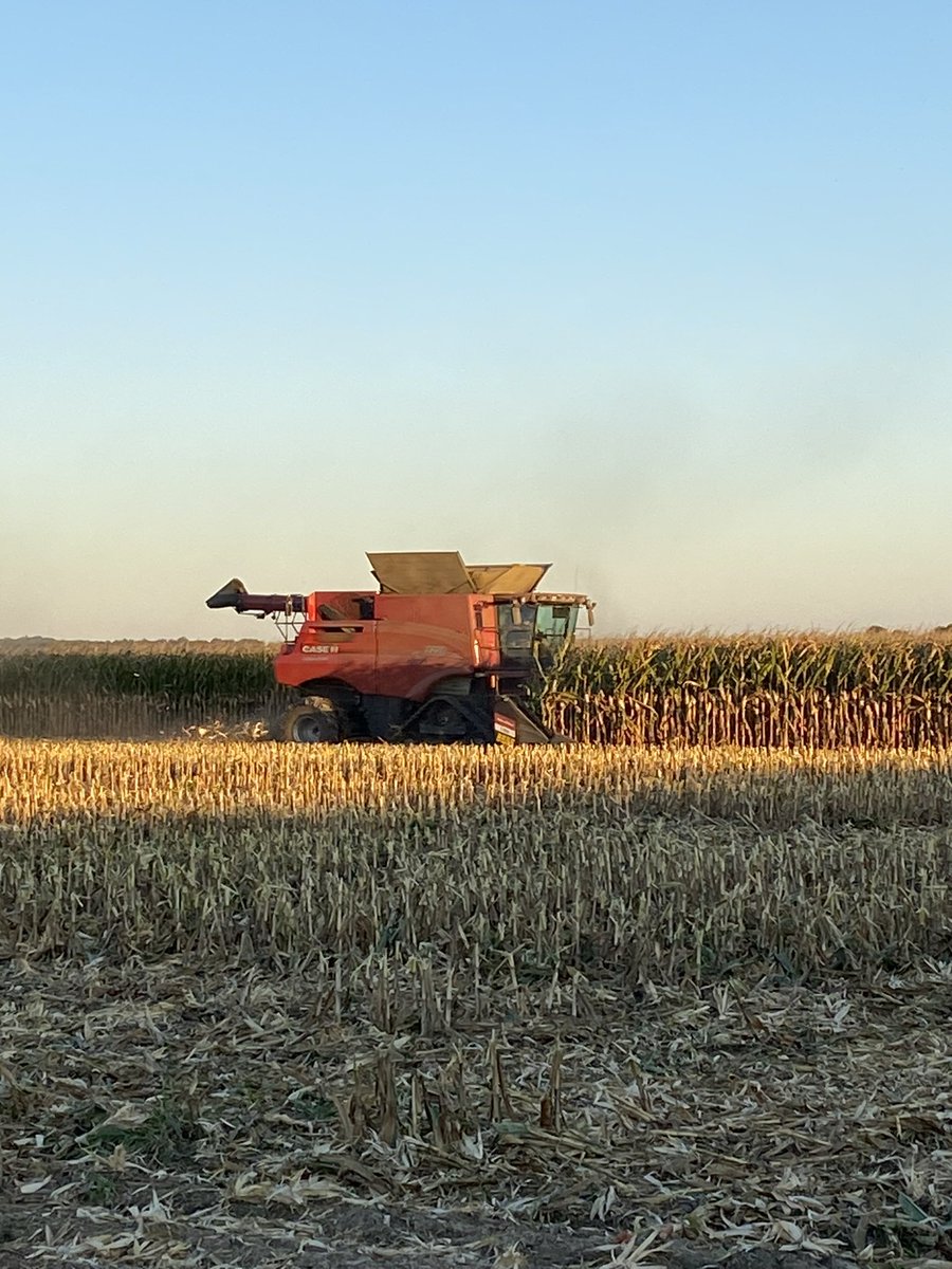 Southern FS Crop Specialist <a href="/larryhelm4/">larry_helm</a> placed the right hybrid on the right acre! The grower gave it the groceries and now it’s 💵💵💵 pay day!!!
#harvest23 is wide open in the SEMO area! <a href="/InVISION_HiSOY/">FSInVISION_FSHiSOY</a> @FSServices <a href="/Southern_fs_inc/">Southern FS</a>