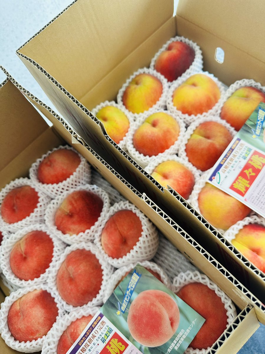 Korean dessert SOL tweet media