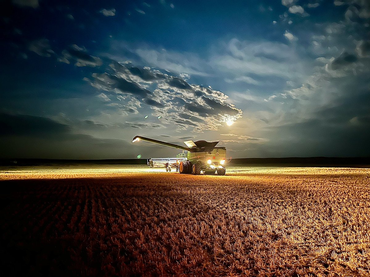 Another night in the barley dust here in SW Sk