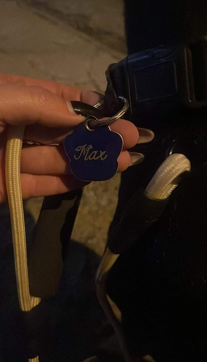Chilena9772's tweet photo. Perrito encontrado en #Penalolen Lleva collar con placa, dice Max y ninguno de los teléfonos existe.
Habrá sido abandonado? 🤔😢
Alguien conoce a sus dueños que les avise #Santiago
RT @Evelyn_Torres_h @BrendaEtchegar1 @cosmica_gatita @albamaria777 @vrojaso77 @KarendTV @patrmarsh https://t.co/4JYCkyEFt6