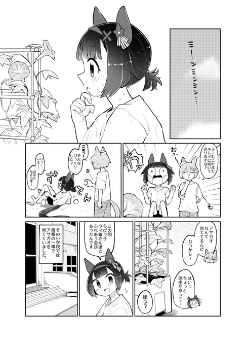 フラウンスとアサガオ。(1/2) 