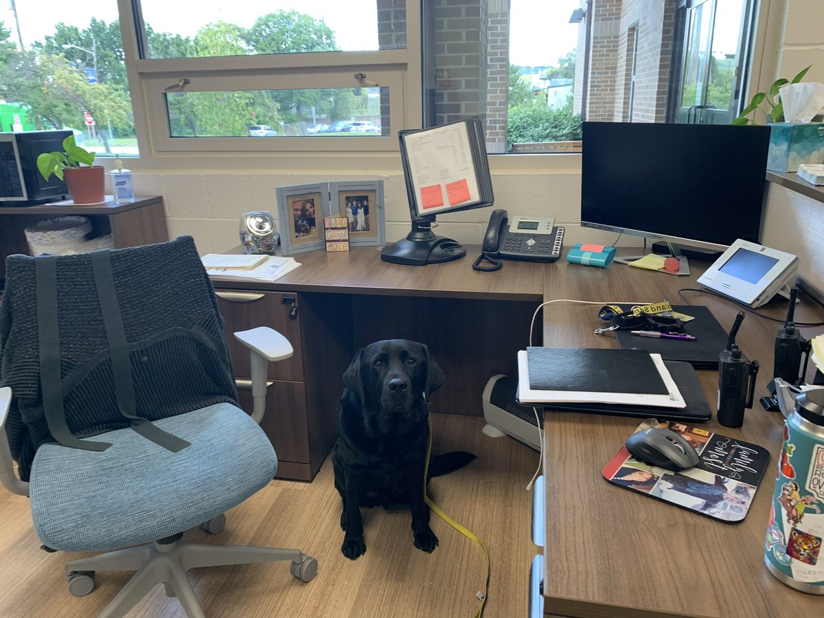 Mister_Diggle's tweet photo. I can now add secretary to my resume! Iโve even been practicing! โYouโve reached @LocklandLocal schools, Mr. Diggle here, how may I help you?โ #iwearmanyhats #workingdog #diggledog #facilitydog #iworkhard #wheresthetreatstash #secretaryintraining #pantherpride #whencaniclockout https://t.co/qIDutx3vjM