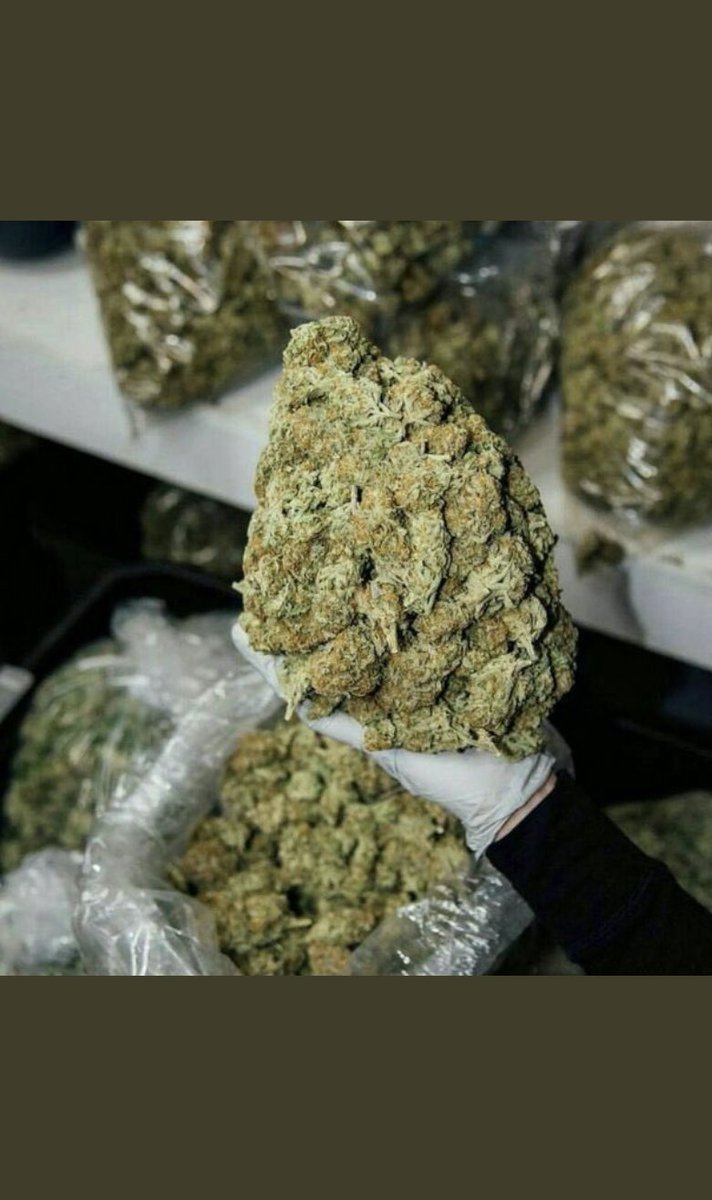 kelsey0780's tweet photo. All top shelf products available 
Dm✅💚 #CannabisCommunity #420friendly #420community #WeedLovers https://t.co/HXMsEQJ35I