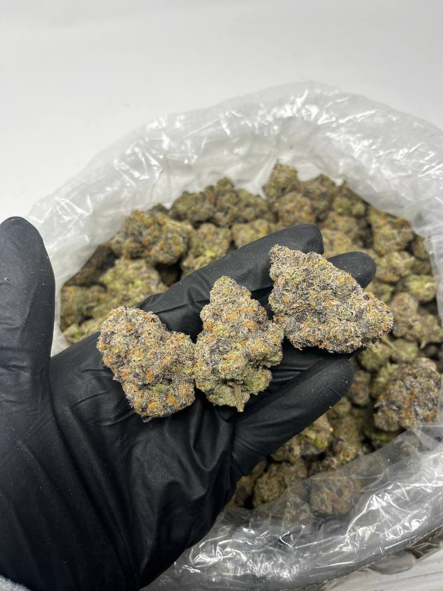 kelsey0780's tweet photo. All top shelf products available 
Dm✅💚 #CannabisCommunity #420friendly #420community #WeedLovers https://t.co/HXMsEQJ35I