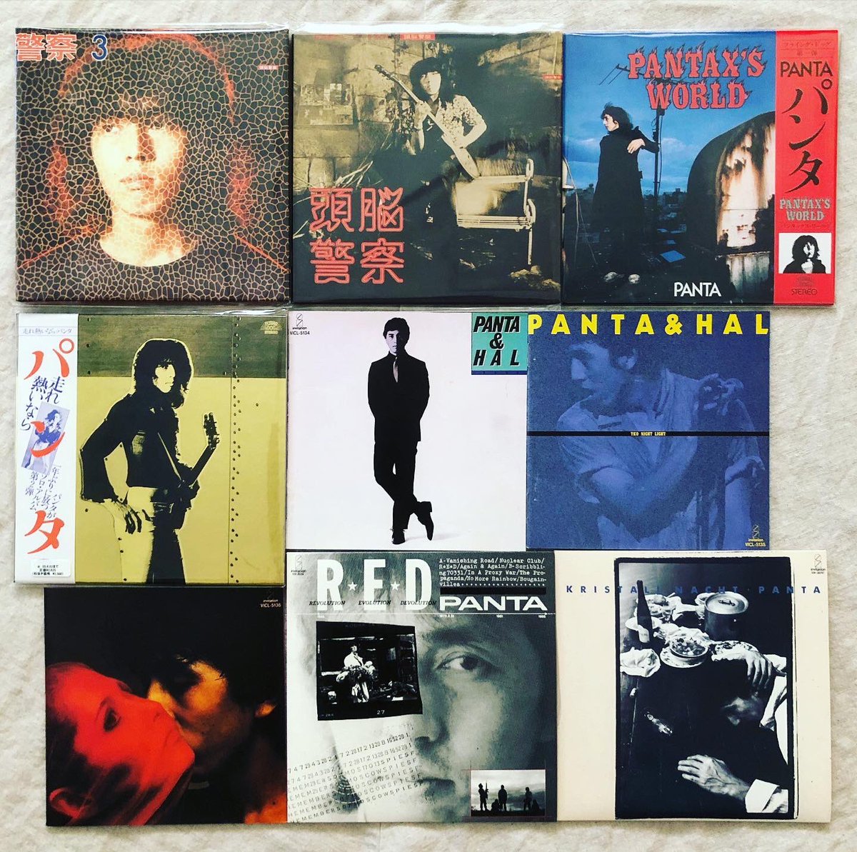 gingerdroog's tweet photo. 今日はPANTAさんのお別れ会です。

頭脳警察、PANTA、PANTA&amp;HAL。どれも傑作なので、顔ジャケだけ集めてみました。

パンタの顔が好きでした。野生的で知性的で、なにか強い覚悟で生きている眼差しが好きでした。

※16人格はレコードだけを持ってるので、16人格を入れて10枚ということで。 https://t.co/howQkwK43Y