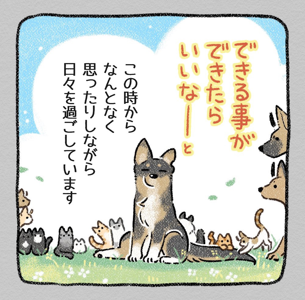 ねずみねこ④
#漫画が読めるハッシュタグ #犬 #猫 