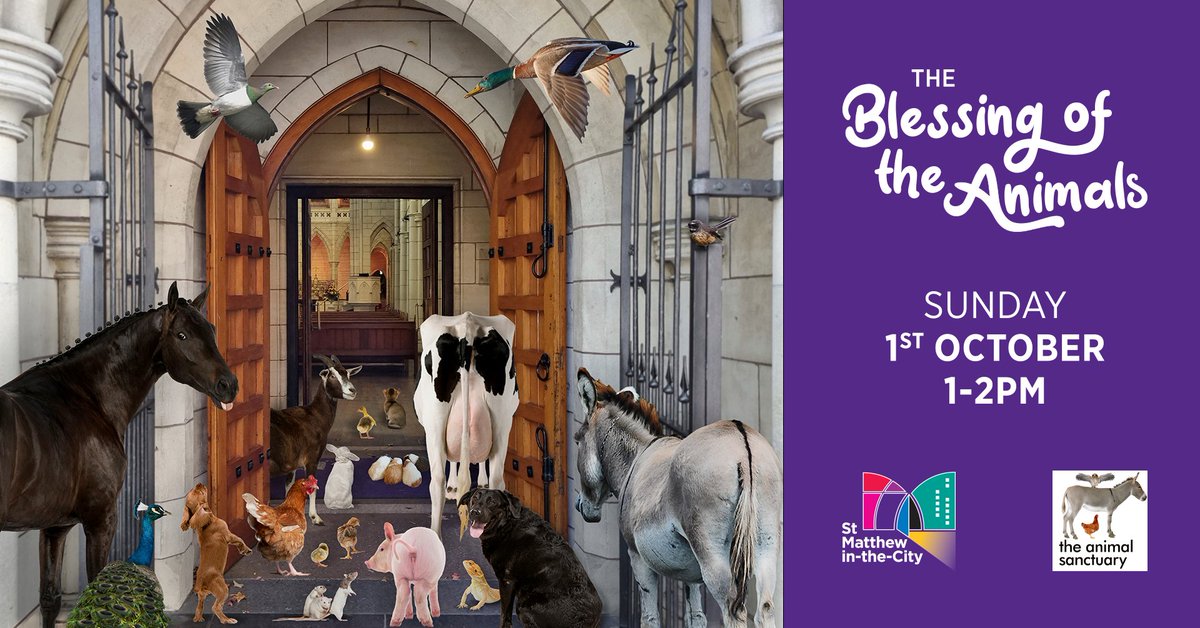 Or annual Blessing of the Animals returns for 2023!
We are very pleased this year to feature the wonderful work of The Animal Sanctuary.
Come along, hear about the work of The Animal Sanctuary, and bring your animal forward for a blessing from our animal loving clergy.