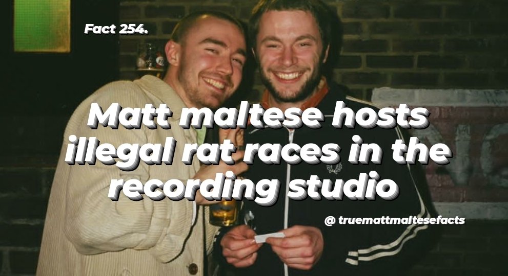 TrueMattMalteseFacts tweet media