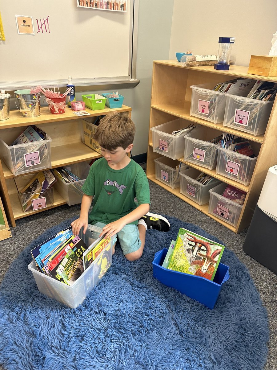 Sara Costa tweet media