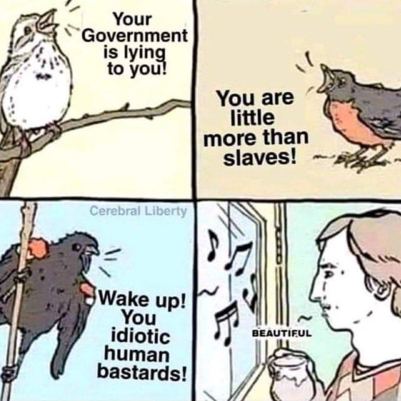 beinlibertarian's tweet photo. Get out into nature https://t.co/MgVP5q6Zj0