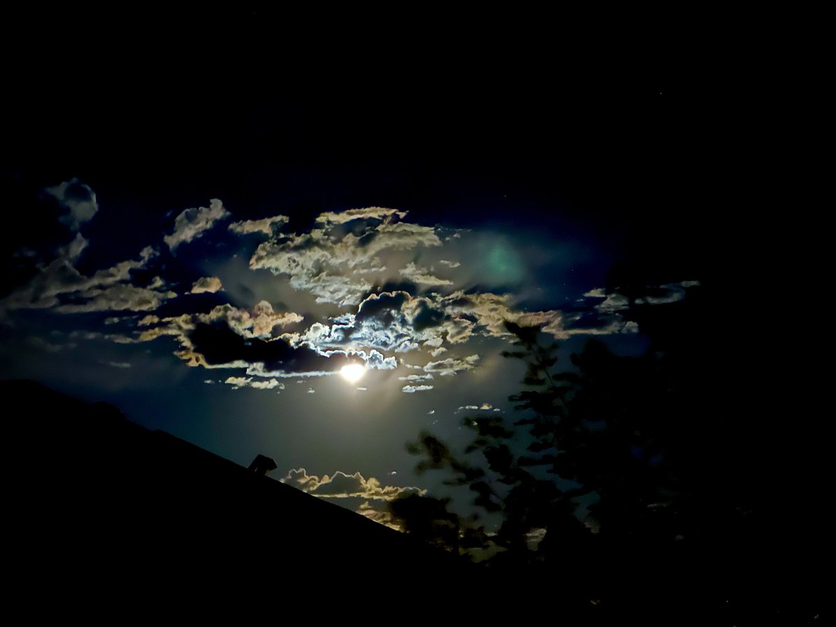 brbird's tweet image. I love where I live. All of creation sings. #ColoradoSummer