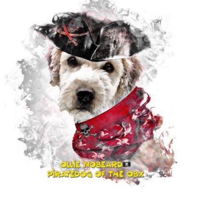 Arrr!! ZOMBIESQUAD Pirate Month is here!!🏴‍☠️🌊☠️ #ZSHQ #NewProfilePic