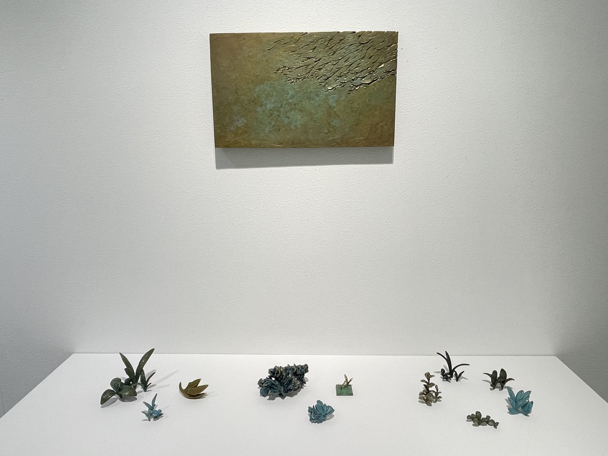 jinengallery's tweet photo. 本日は20時迄営業中☀️😊
2023年8/29(火)〜9/3(日)
【A室】#河野太郎 展
【B室】#濱口佳純 展
★移転しました
〒103-0012
東京都中央区日本橋堀留町1-8-9 渡菊ビル6F
#contemporaryart #art #tarokawano #kasumihamaguchi #metalcast #kogei #工芸 #鋳金 #錆 #植物 #緑青 #形 #積木 #カワイイ https://t.co/nUuBP5fQ0q