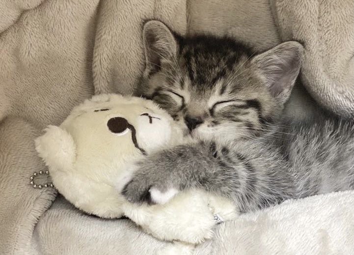 heartipink's tweet photo. i sleep https://t.co/W6hyv0POZa