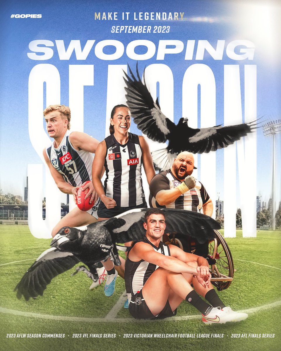 September is here. It’s swooping season 🪶