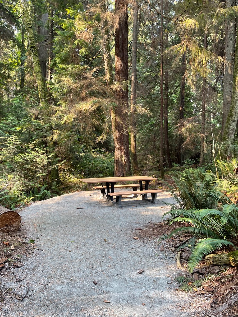 thenitr0's tweet image. Cozy place to drink some coffee isn't it? #LighthousePark #BritishColumbia #Canada