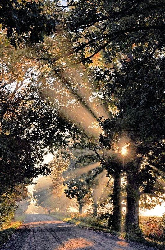 hemm_sauda's tweet photo. ﴿وأُفوِّض أَمرِي إلَى ﷲ إنَّ ﷲ بَصِير بِالْعِبَادِ﴾

نحمل الهمّ، ونفكر كثيرًا،ونتألم لبعض التفاصيل،ويظل الانسان معدوم الحيلة، عاجزًا حتى عن نفع نفسه!
فإذا وكّل أمره إلى الله:شرح صدره،وكفاه ما أهمّه، وتولّاه، وأحسن تدبيره. https://t.co/cNUZum4lH2