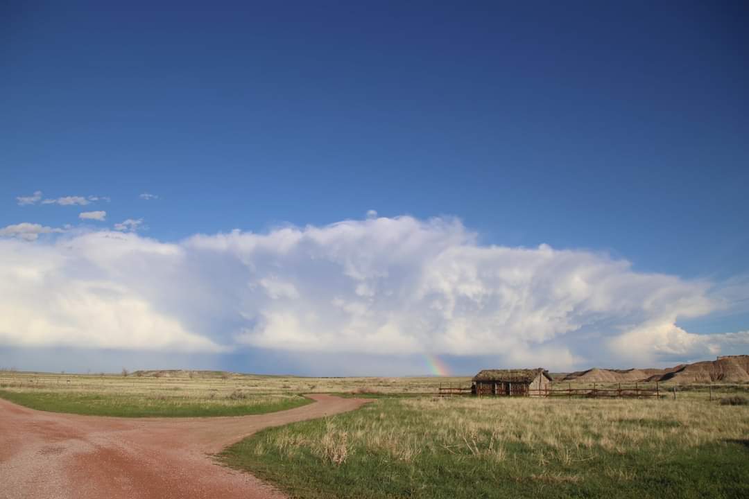 Nag Champa Enjoyer tweet media