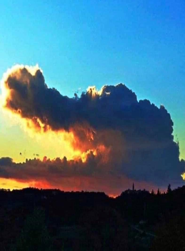 Florida Gators! 🐊

#Florida #Sunset #Lifestyle