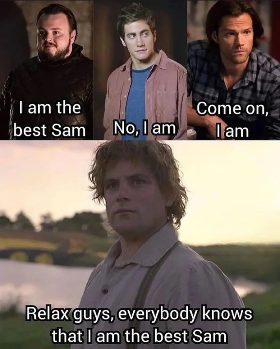 The superior Sam #memes #LOTR #lordoftherings #movies